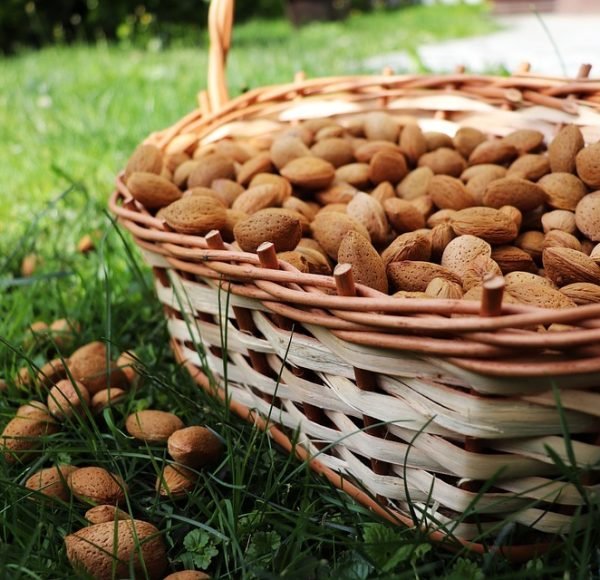 pure kashmiri almonds